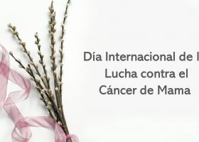 listón rosa característico del Día Mundial de la Lucha contra el Cáncer de Mama
