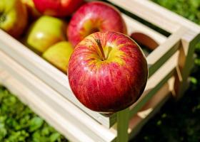 Cajón de madera con manzanas. Imagen de Couleur en Pixabay