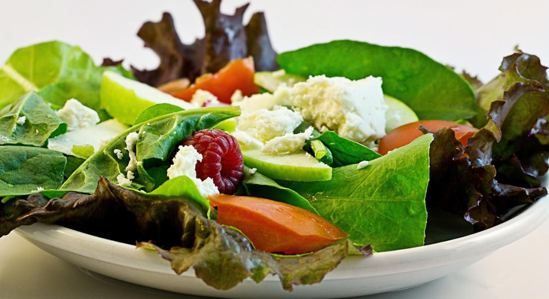 Plato con ensalada variada de vegetales, frutos y proteína